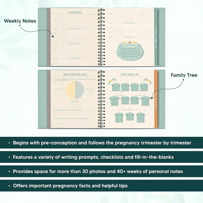 Studio Oh! Guided Pregnancy Journal, Bump for Joy! - Image 4